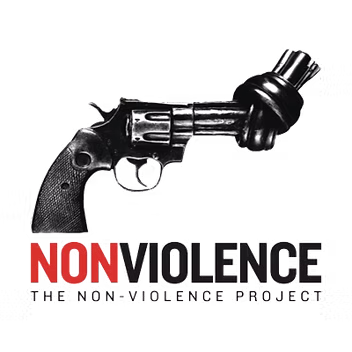 Ambassador — Non-Violence Project (NVP)